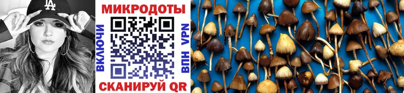 мега как зайти  Грязовец  Галлюциногенные грибы Cubensis 